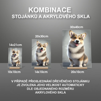 Švédský Vallhund animovaný