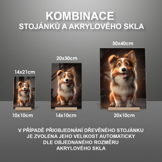 Shetlandský ovčák animovaný