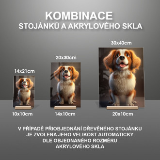 Holandský Kooikerhondje animovaný