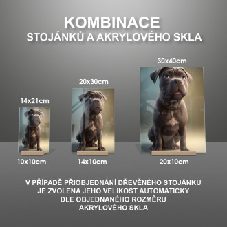 Cane Corso animovaný