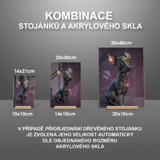 Xoloitzcuintli animovaný