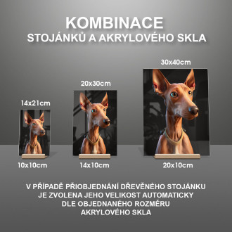 Faraonský chrt animovaný