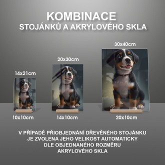 Entlebucherský salašnický pes animovaný