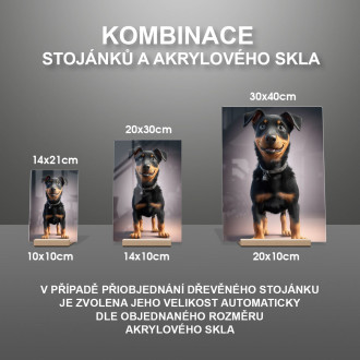 Beauceron animovaný