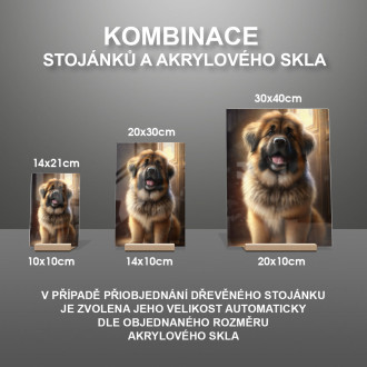 Leonberger animovaný