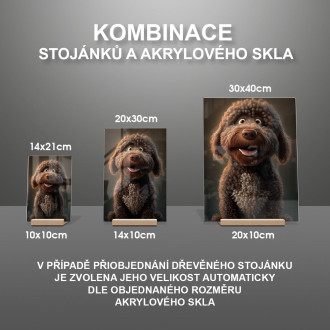 Španělský vodní pes animovaný