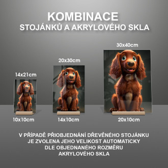 Irský setr animovaný