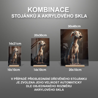 Saluki animovaný