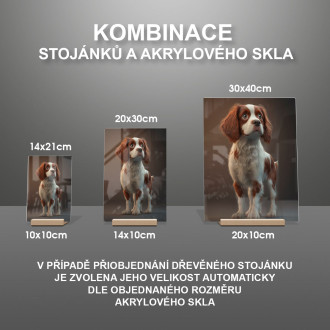 Irský červenobílý setr animovaný