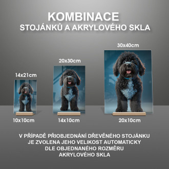 Portugalský vodní pes animovaný