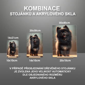 Schipperke animovaný