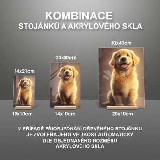 Zlatý retriever animovaný