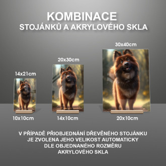 Belgický Tervuren animovaný