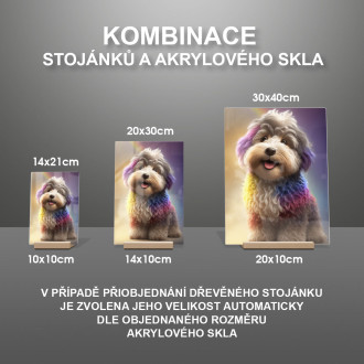Havanese animovaný