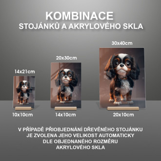 Anglický toy španěl animovaný