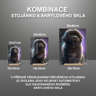 Newfoundland animovaný