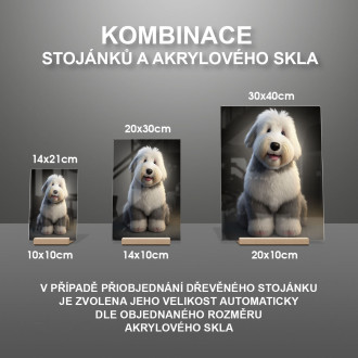 Starý anglický ovčák animovaný