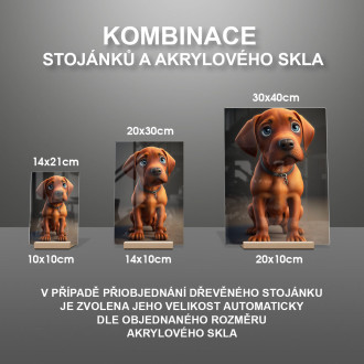 Rhodéský ridgeback animovaný
