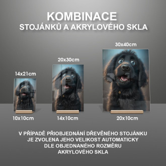 Flat Coated Retrívr animovaný