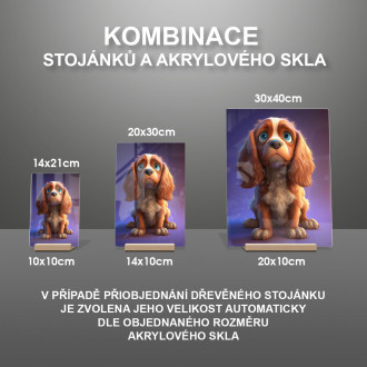 Anglický kokršpaněl animovaný