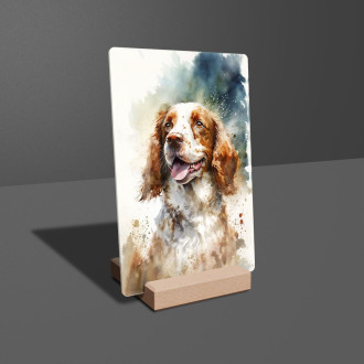 Welsh Springer Spaniel akvarel