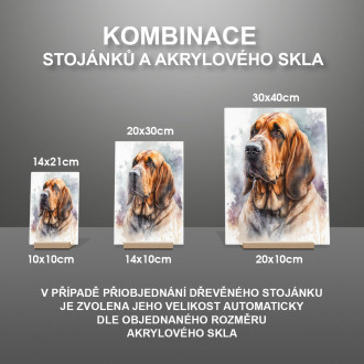 Bloodhound akvarel