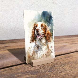 Welsh Springer Spaniel akvarel