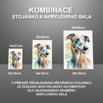Italský chrtík akvarel