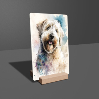 Soft Coated Wheaten Terrier akvarel