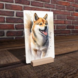 Shiba Inu akvarel