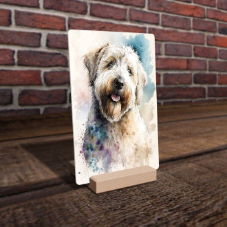 Soft Coated Wheaten Terrier akvarel