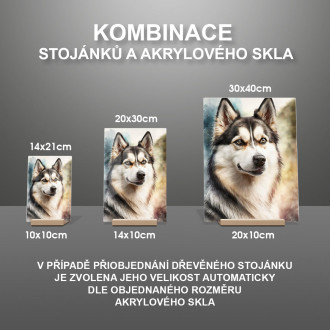 Sibiřský husky akvarel