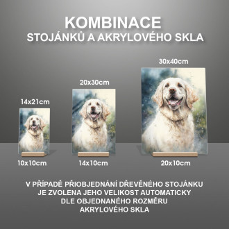 Clumber španěl akvarel