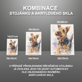 Velšský teriér akvarel