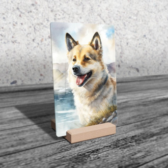 Norský buhund akvarel