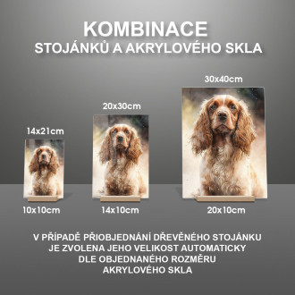 Kokršpaněl akvarel