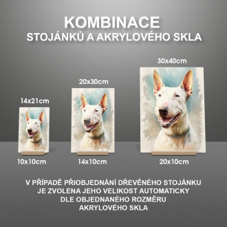 Bull Terrier akvarel