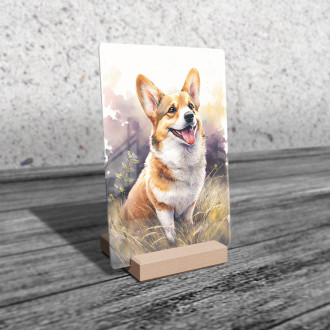 Pembroke Welsh Corgi akvarel