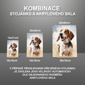 Anglický Foxhound akvarel