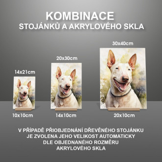 Miniaturní bulteriér akvarel