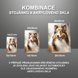 Shetlandský ovčák akvarel