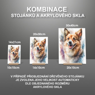 Norský Lundehund akvarel