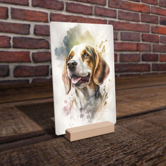 Beagle akvarel