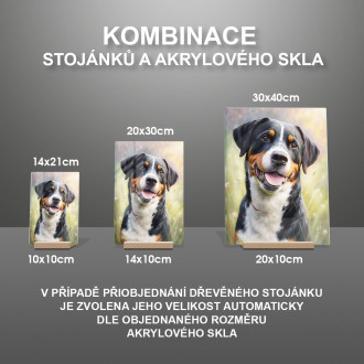 Entlebucherský salašnický pes akvarel