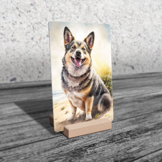 Švédský Vallhund akvarel