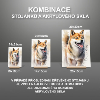 Shiba Inu akvarel