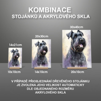 Velký knírač akvarel