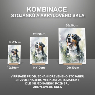 Velký švýcarský salašnický pes akvarel