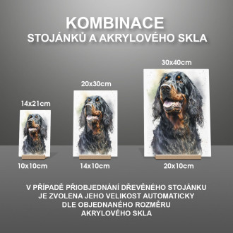 Gordon Setr akvarel