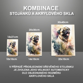 Mopsík akvarel